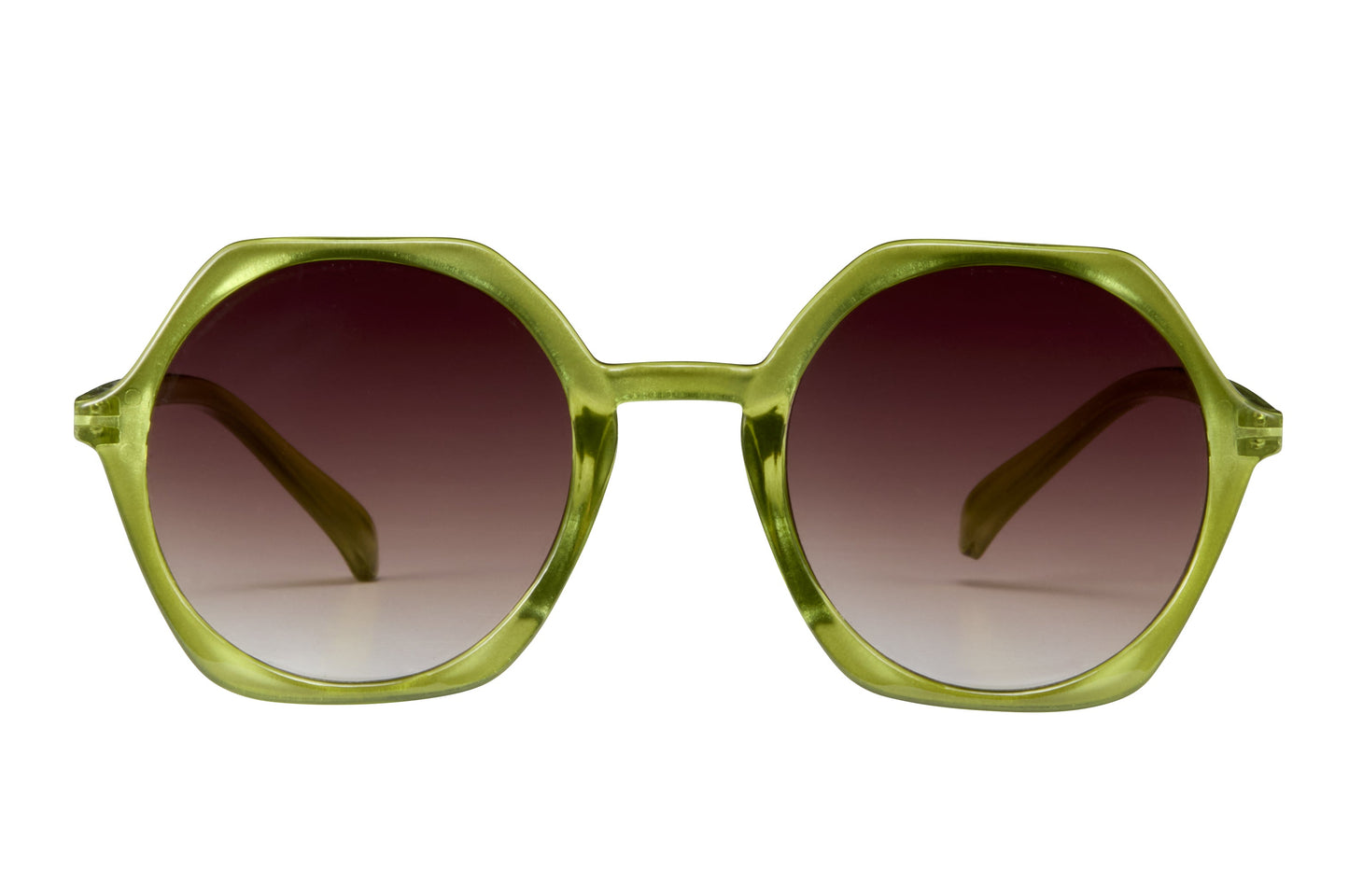 Acadia Polarized Sunglasses