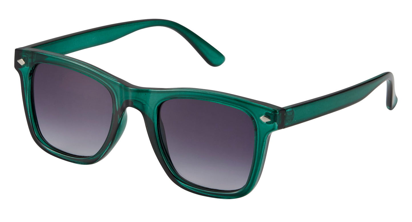 Biscayne Polarized Sunglasses