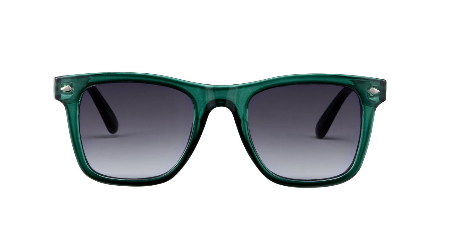 Biscayne Polarized Sunglasses
