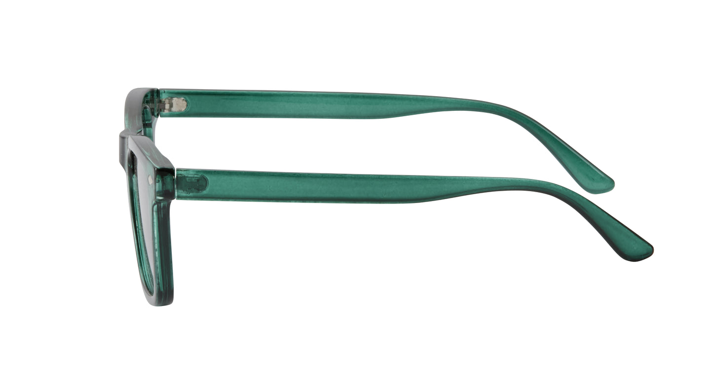 Biscayne Polarized Sunglasses