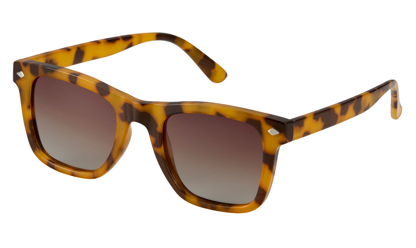 Biscayne Polarized Sunglasses