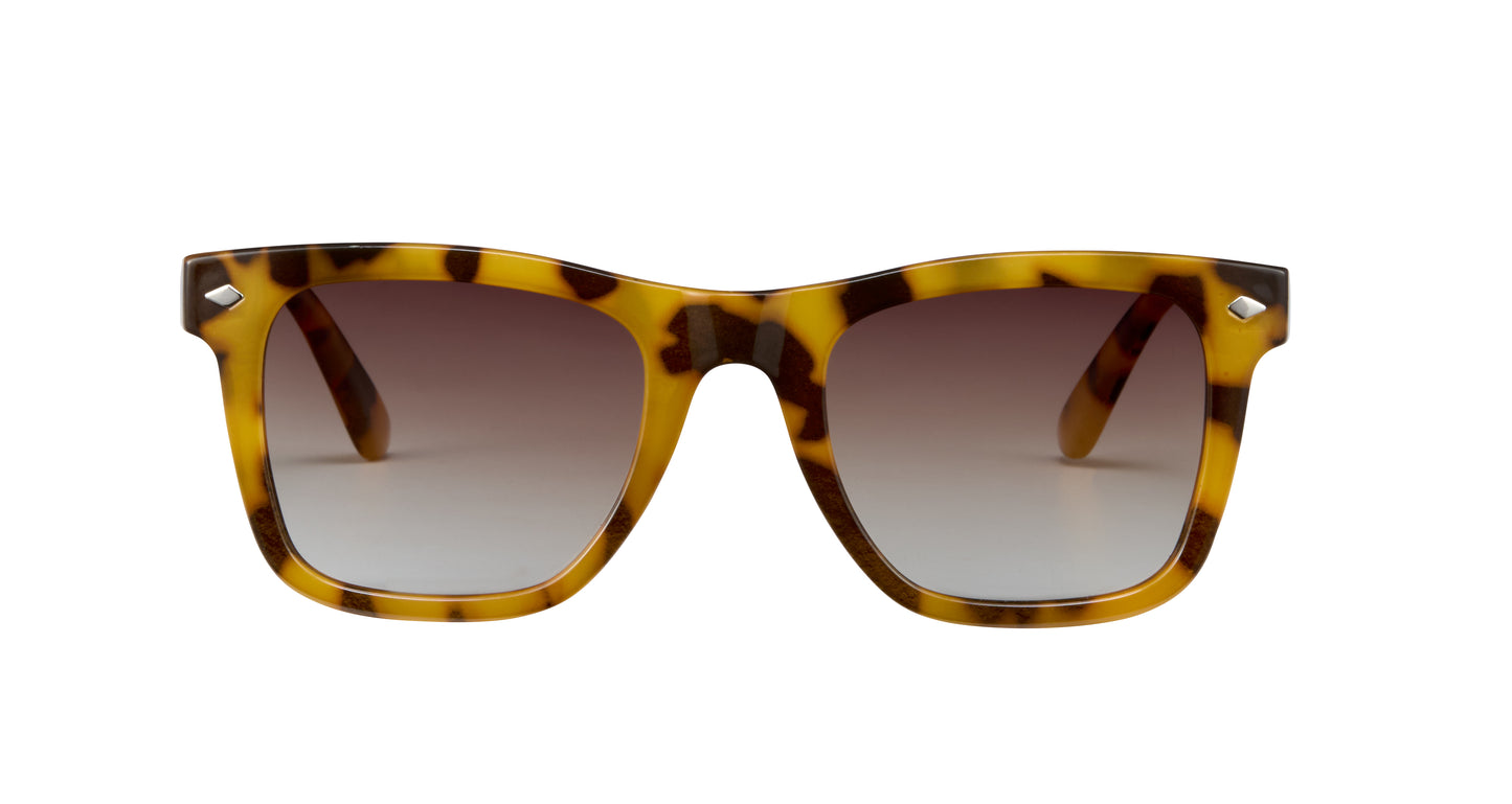Biscayne Polarized Sunglasses