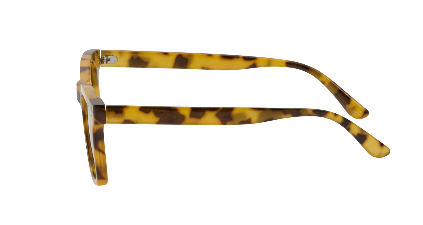 Biscayne Polarized Sunglasses
