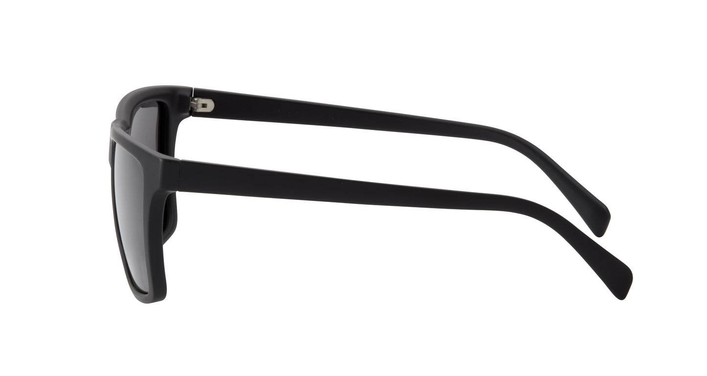 Darien Polarized Sunglasses