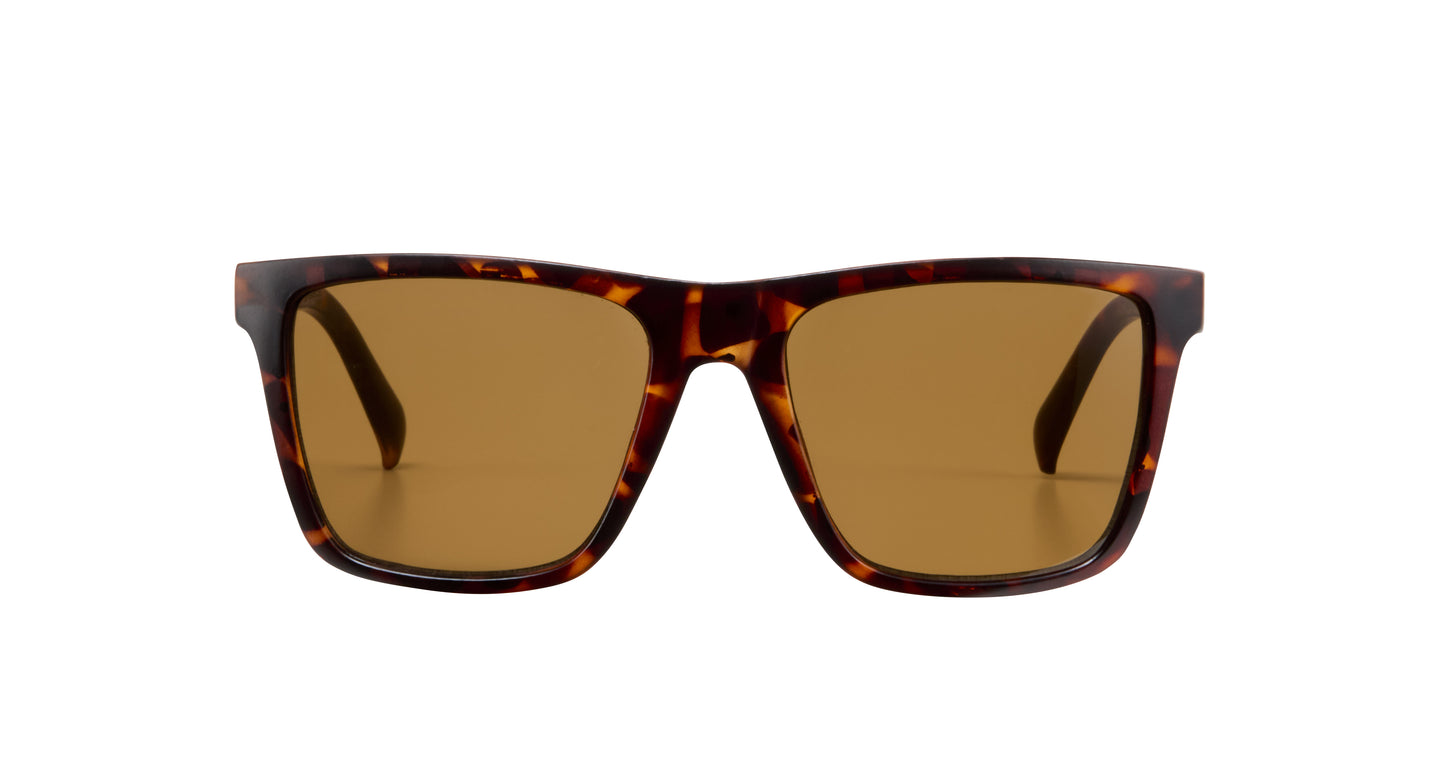 Darien Polarized Sunglasses