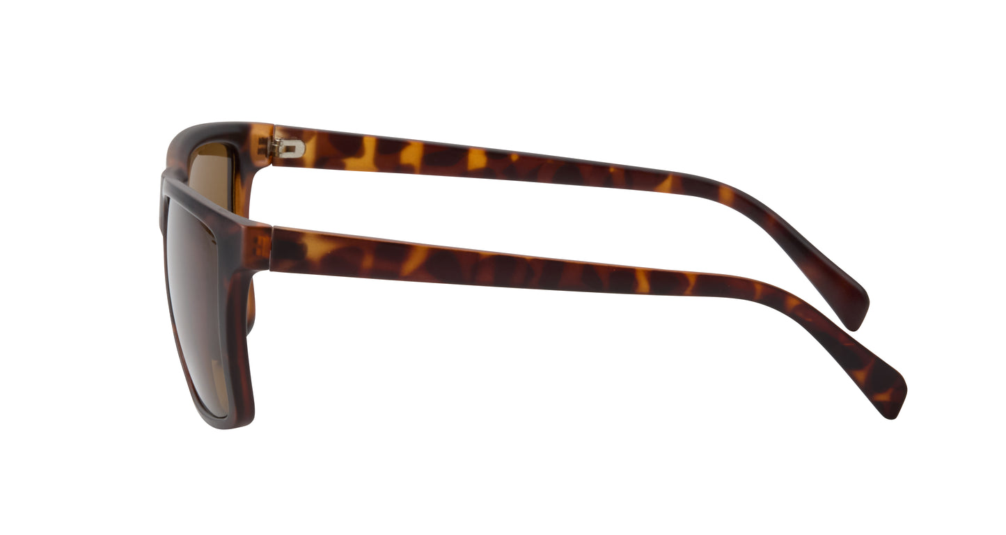 Darien Polarized Sunglasses
