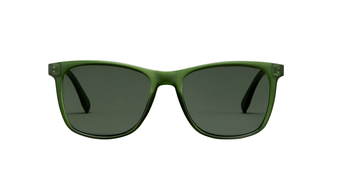Reef Polarized Sunglasses