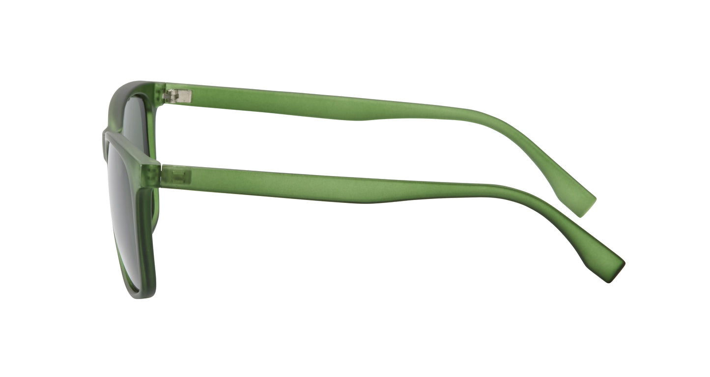Reef Polarized Sunglasses