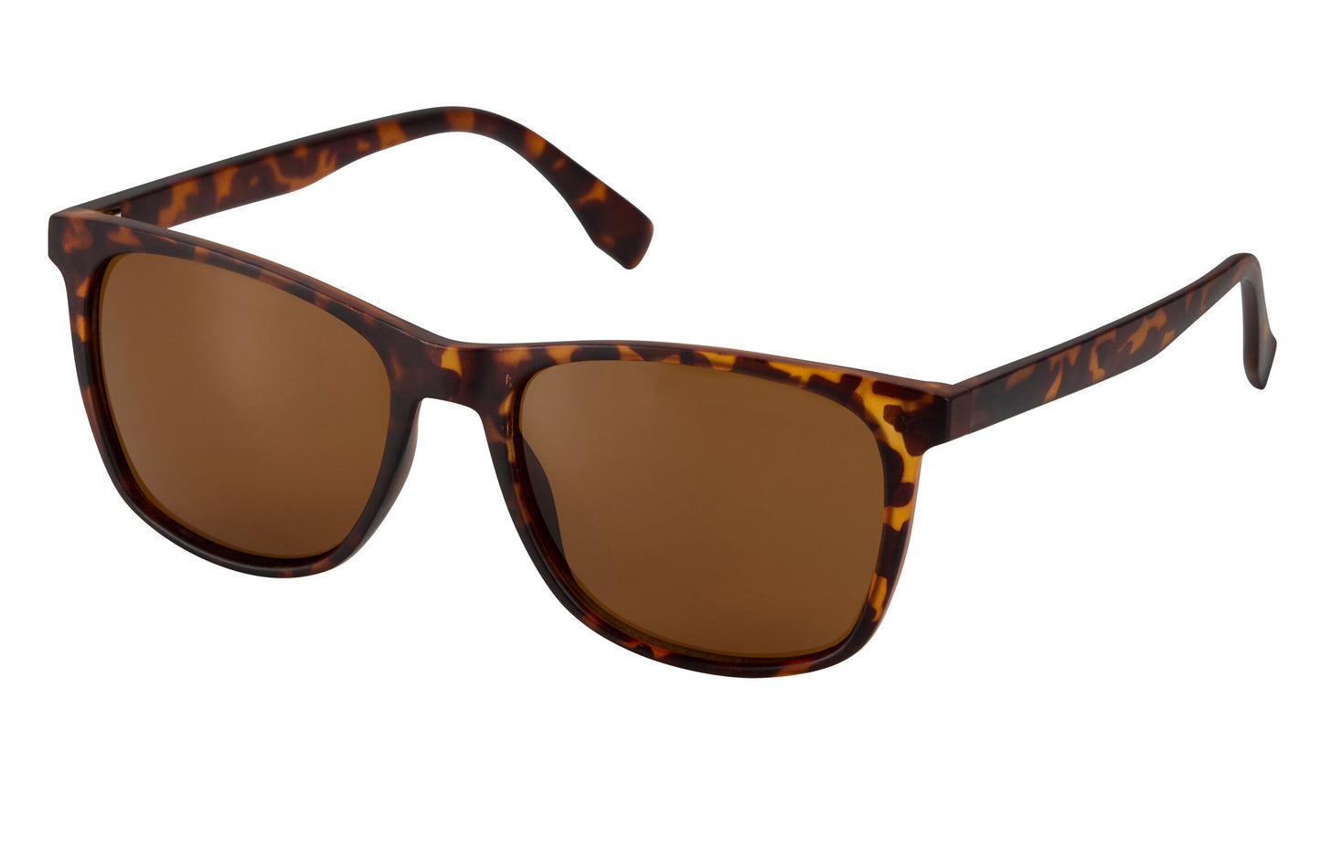 Reef Polarized Sunglasses