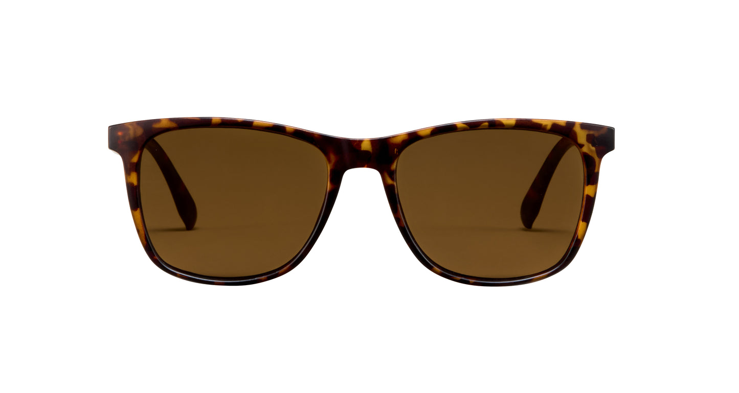 Reef Polarized Sunglasses