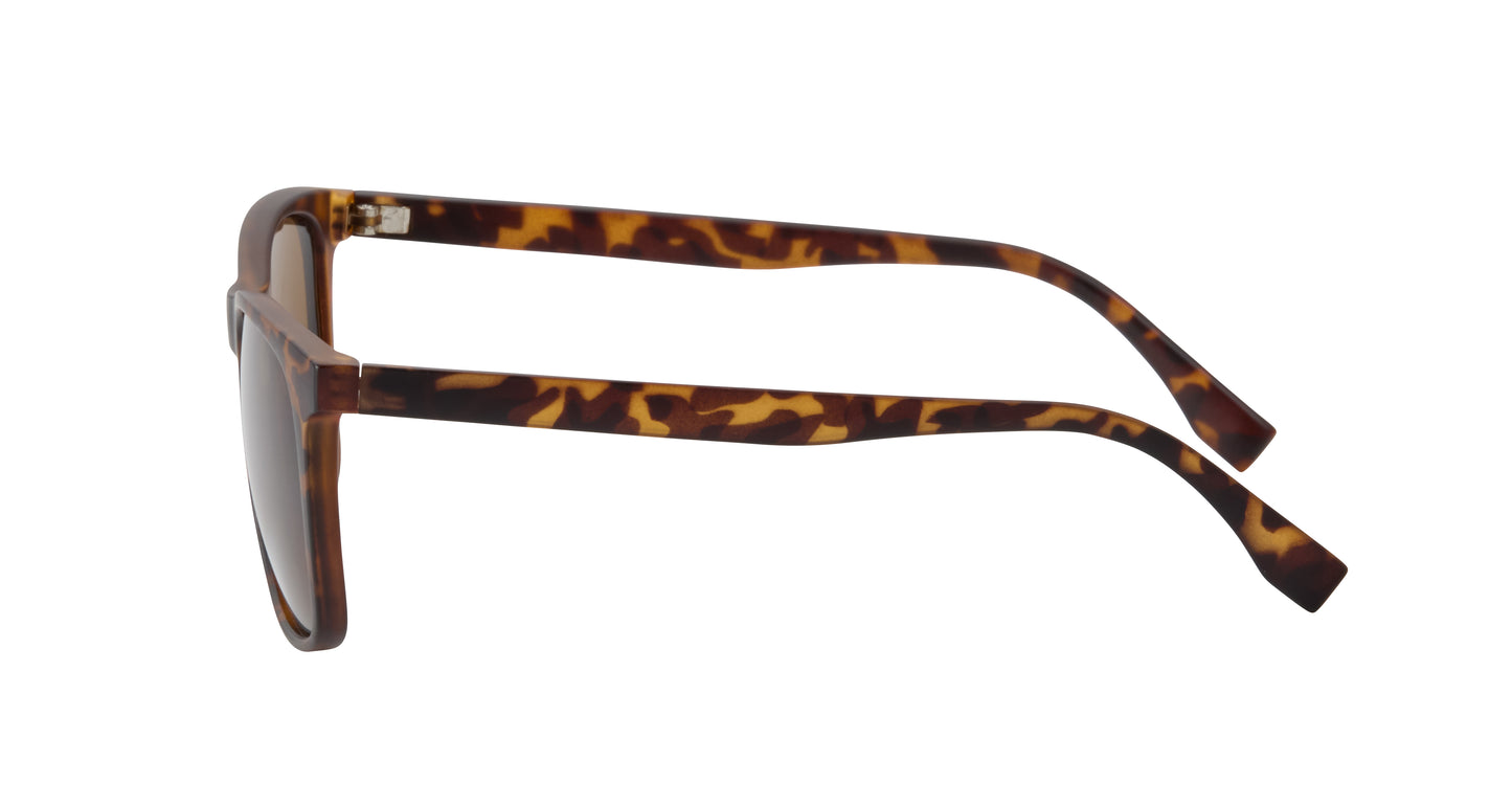 Reef Polarized Sunglasses