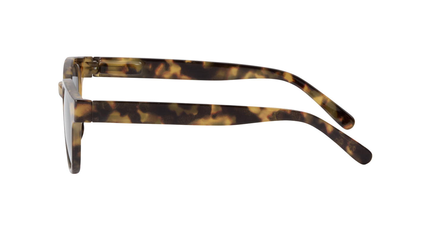 Saxon Polarized Sunglasses