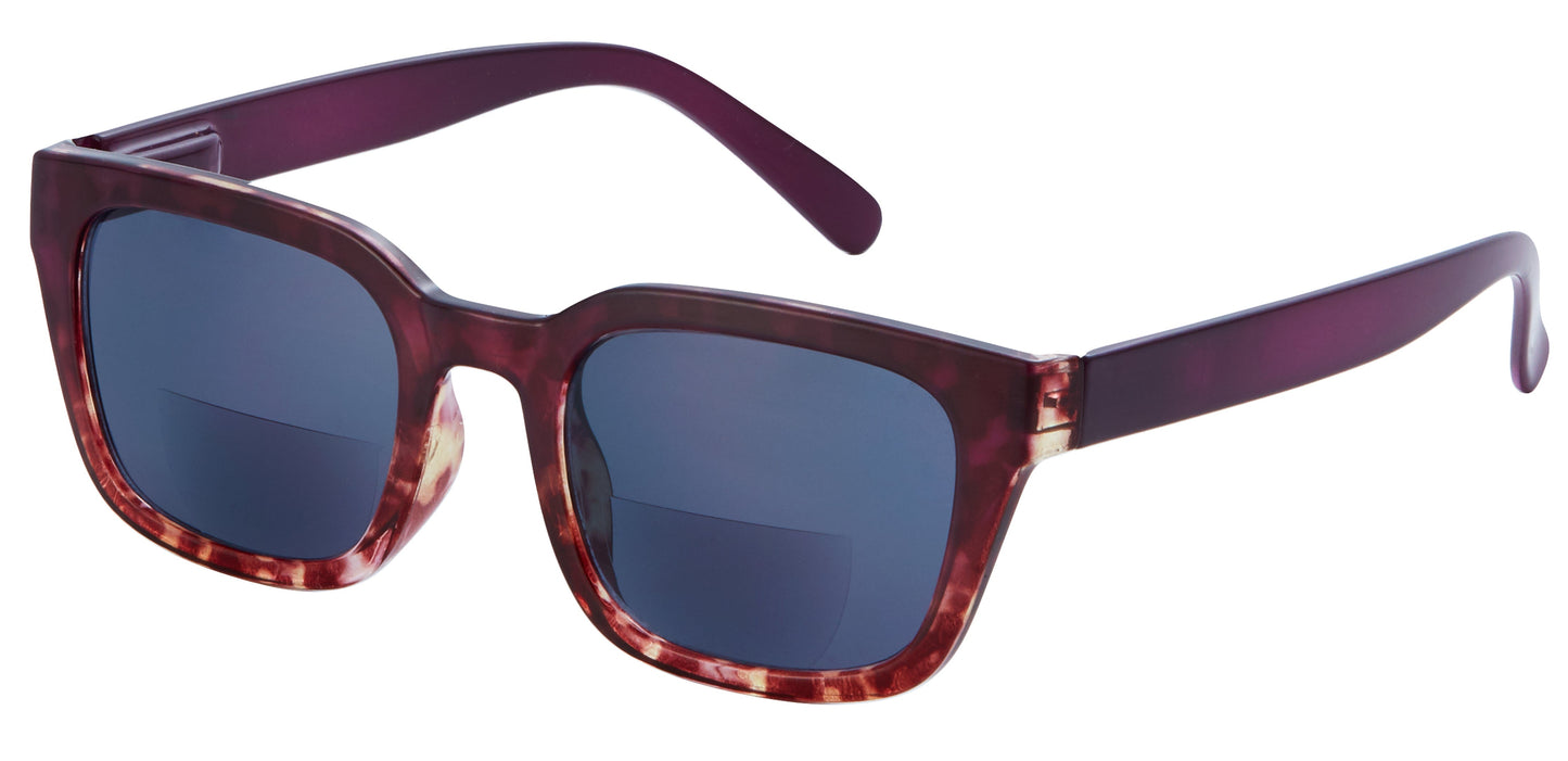 Hamilton Bifocal Sunglasses