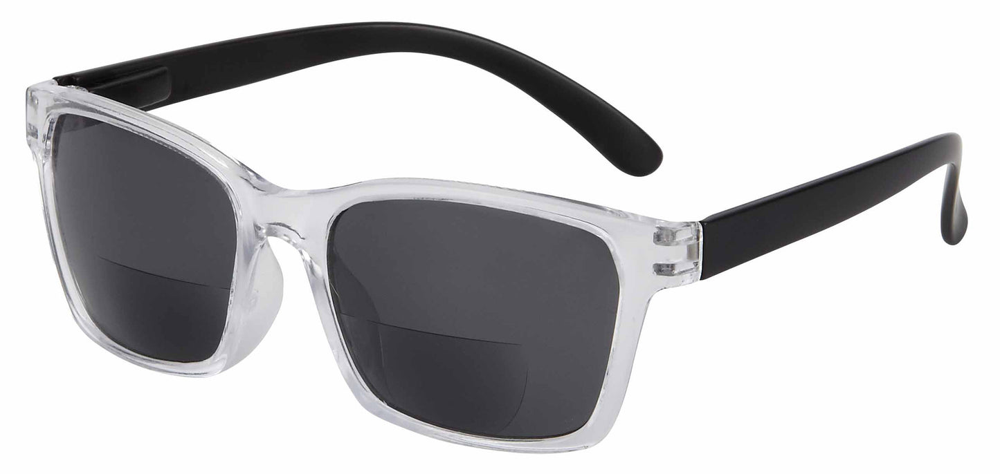 Halifax Bifocal Sunglasses